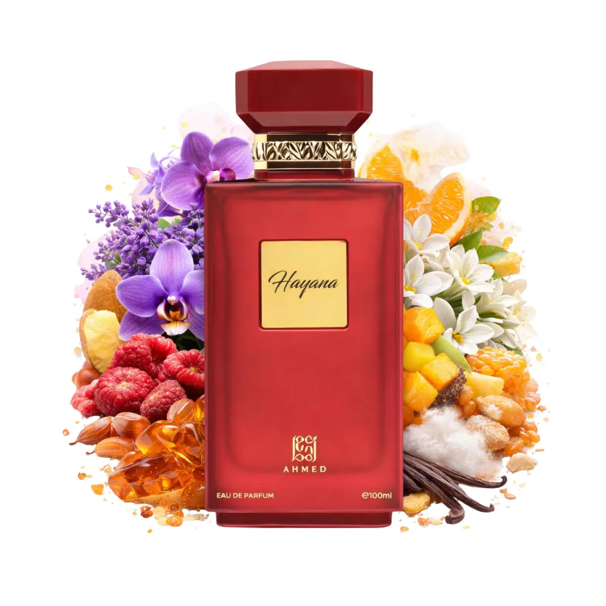 Hayana – Ahmed Al Maghribi