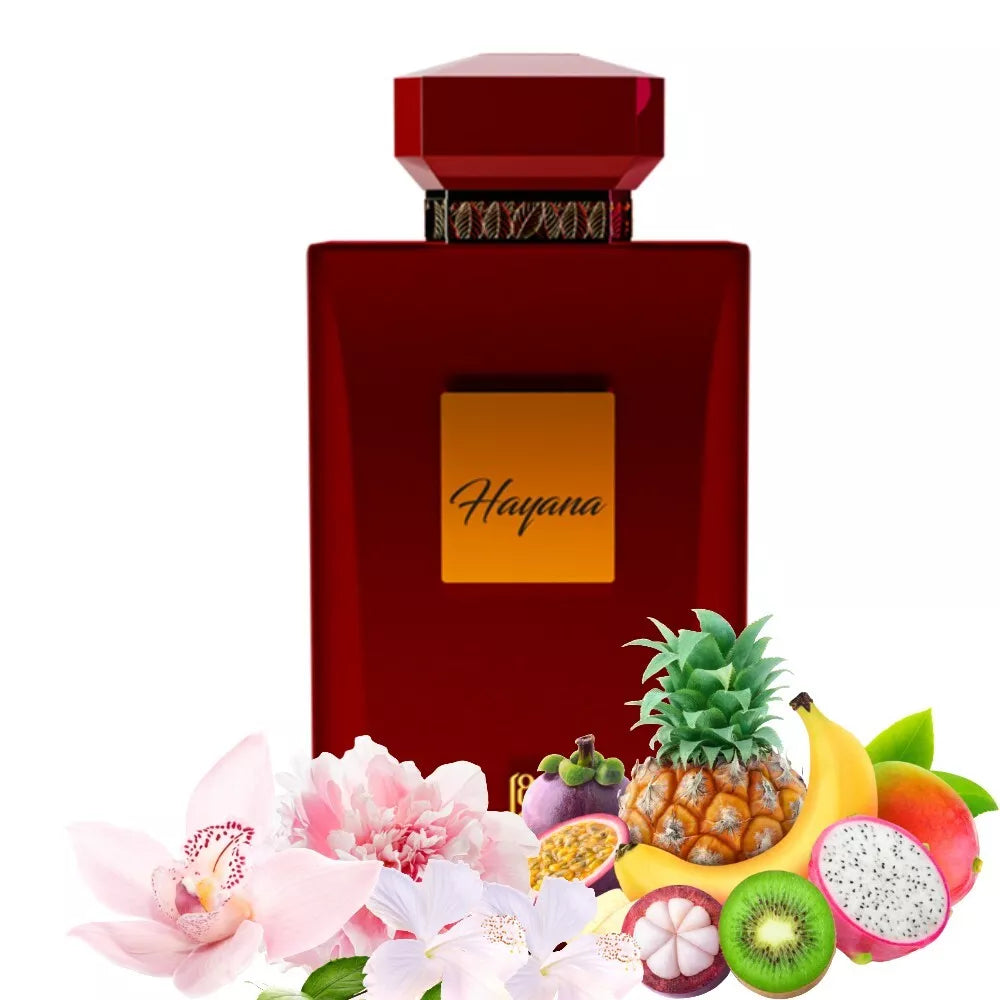 Hayana – Ahmed Al Maghribi