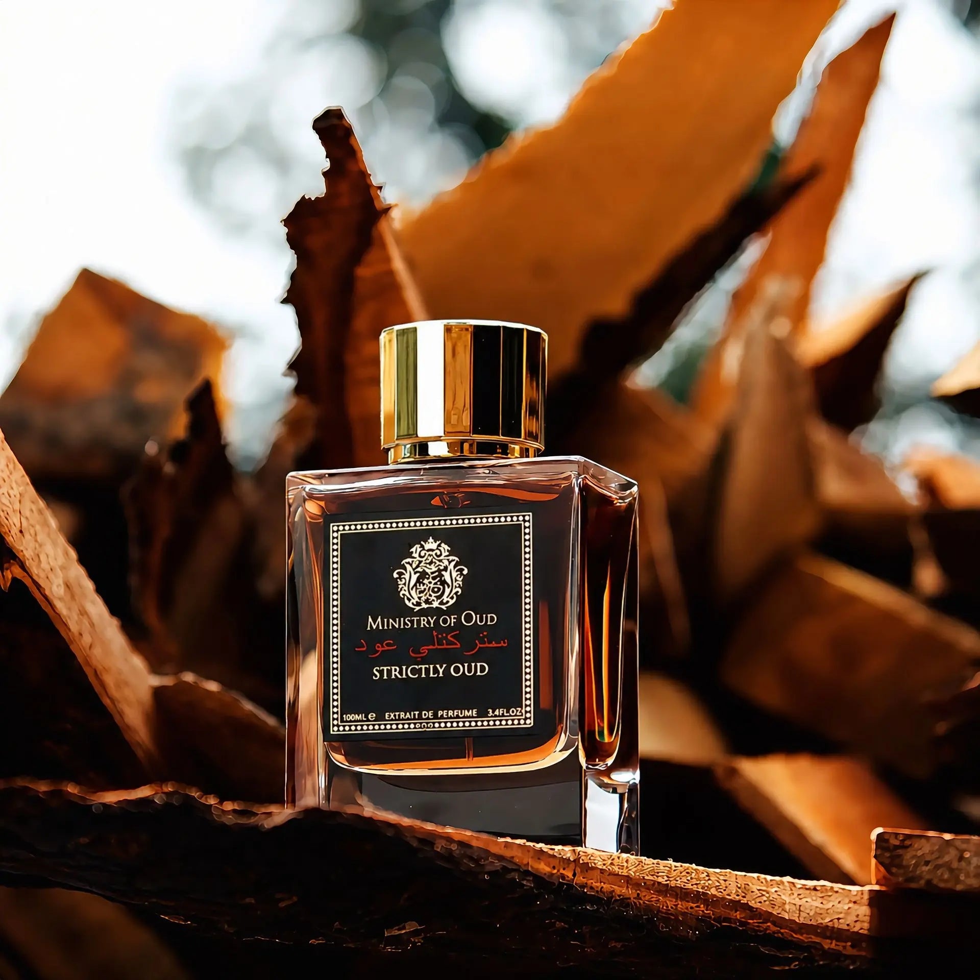 MINISTER OF OUD - STRICTLY OUD - Extrait de parfum 100 ML